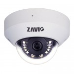 D4210 Zavio